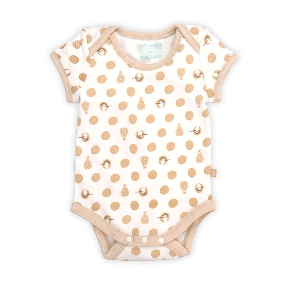 Postman Gift Set (Blanket, bodysuit, all-in-one, bib, hat)