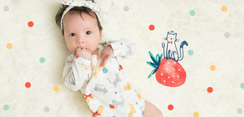 Strawberry Cat