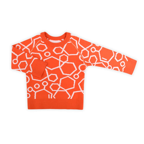 Molecule Reversible Sweater