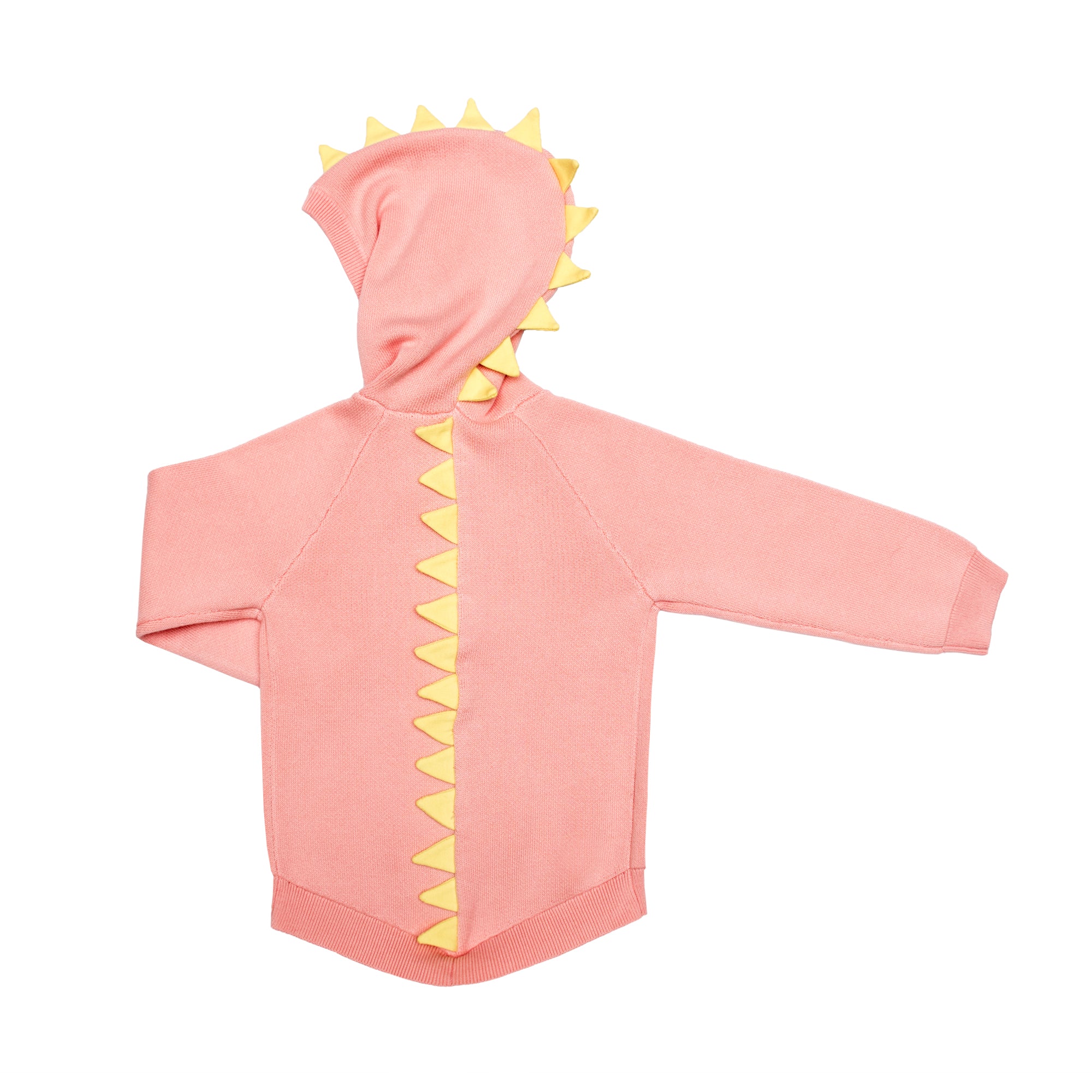 Dino Spikes Knit Hoodie